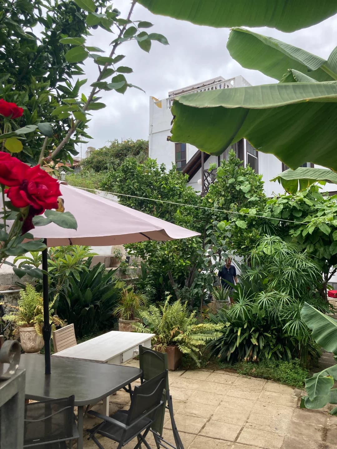 CITY-COLIVING AUF TENERIFFA photo