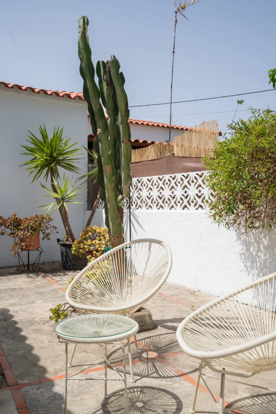 CALMA HOUSE photo